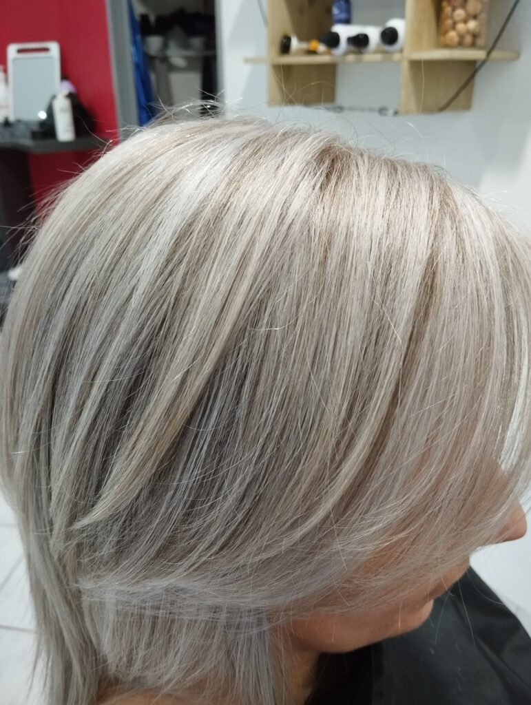 cheveux-méché-gris